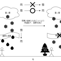 東京に初雪（みぞれ）が降りました