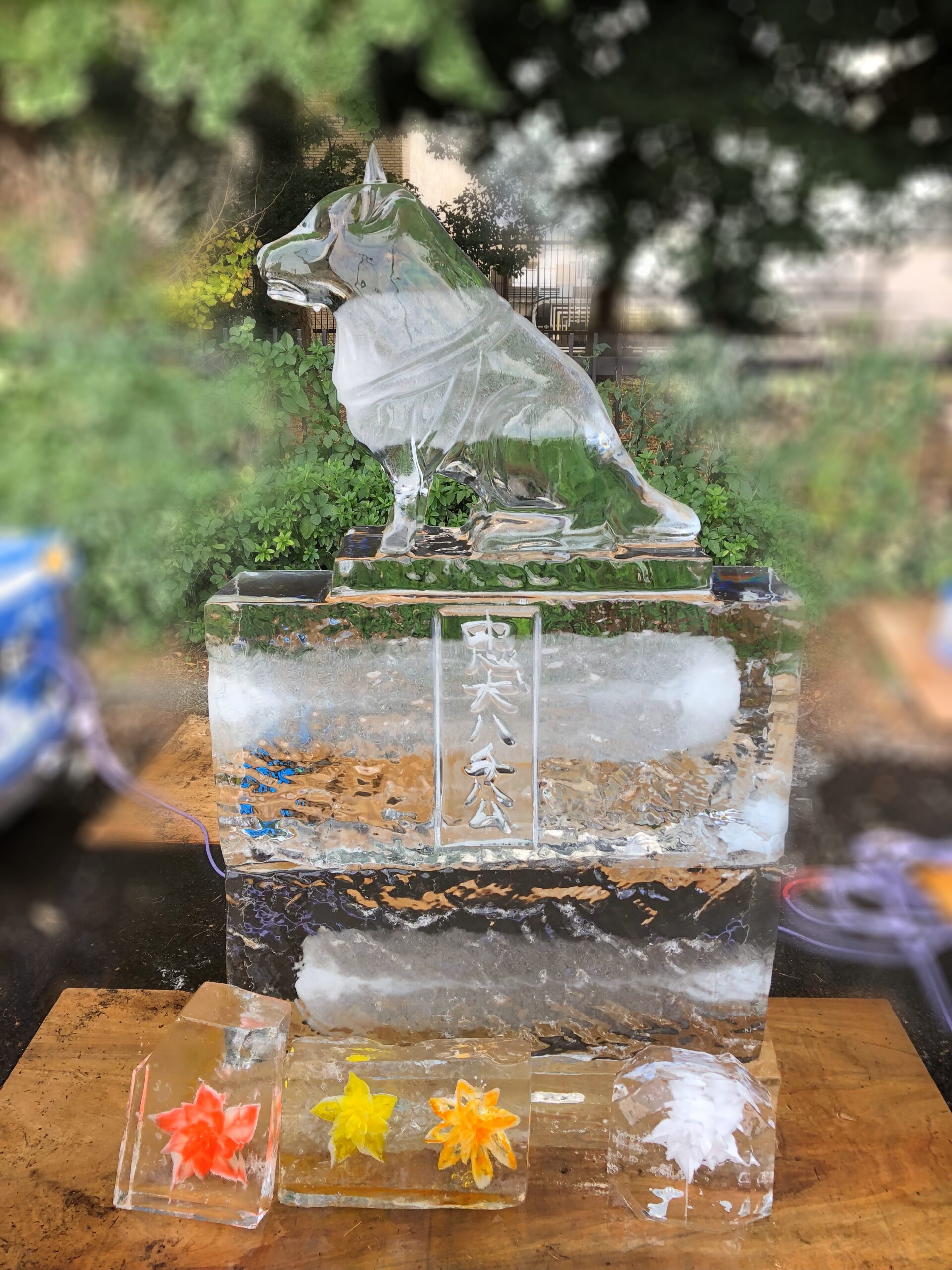 ふるさと渋谷フェスティバル2023に協力しました – 株式会社小野田商店