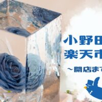 日本初?!氷のアート「氷華®︎」で楽天市場に参戦！【#13 小野田商店100+ 】
