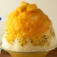 かき氷専用氷から、かき氷機レンタル事業まで⁈小野田商店の「氷活」記