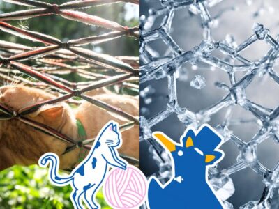 100℃以上でも、とけない氷？ニャンとも不思議な「氷の多形体」。