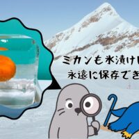 氷漬けにしたものって、いつまでも保つの？氷のアートは保存できる？【前編】