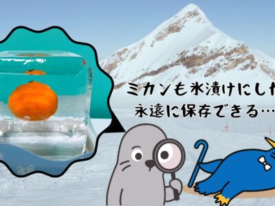 氷漬けにしたものって、いつまでも保つの？氷のアートは保存できる？【前編】