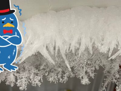 霜は氷屋の大敵？それとも味方？奥深き霜の世界を解説！【前編】