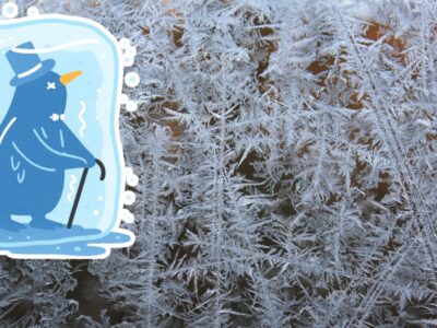 霜は氷屋の大敵？それとも味方？奥深き霜の世界を解説！【後編】