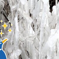 冬山は天然アイスアートの宝庫？＆山で使いたい氷の活用法