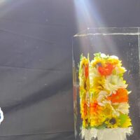 【フォトの日】氷を撮るって実は難しい？氷屋の写真奮闘記