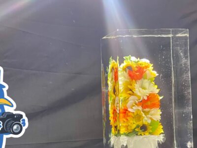 【フォトの日】氷を撮るって実は難しい？氷屋の写真奮闘記