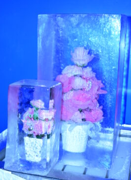 hyoka_flowerW_33 ピンクの氷中花