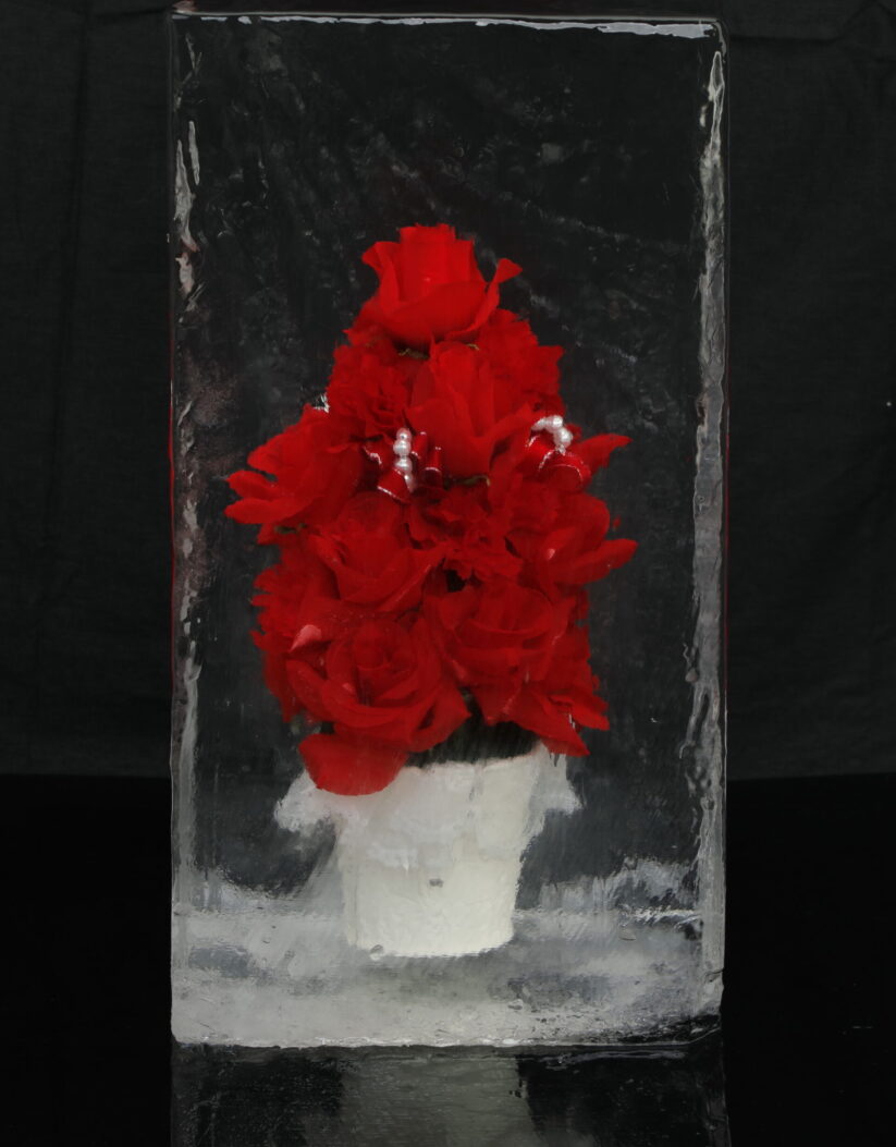 赤い氷中花