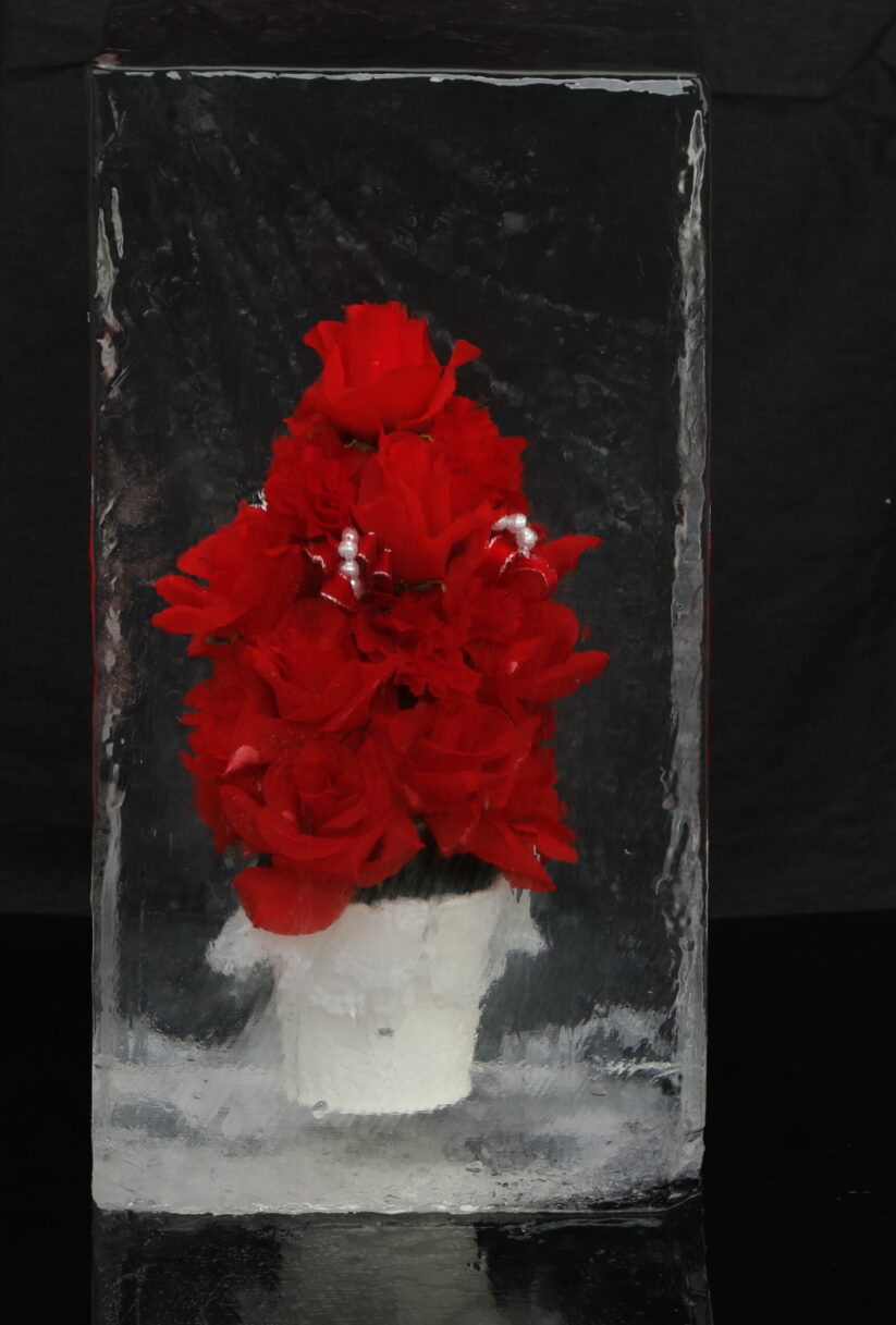 赤い氷中花